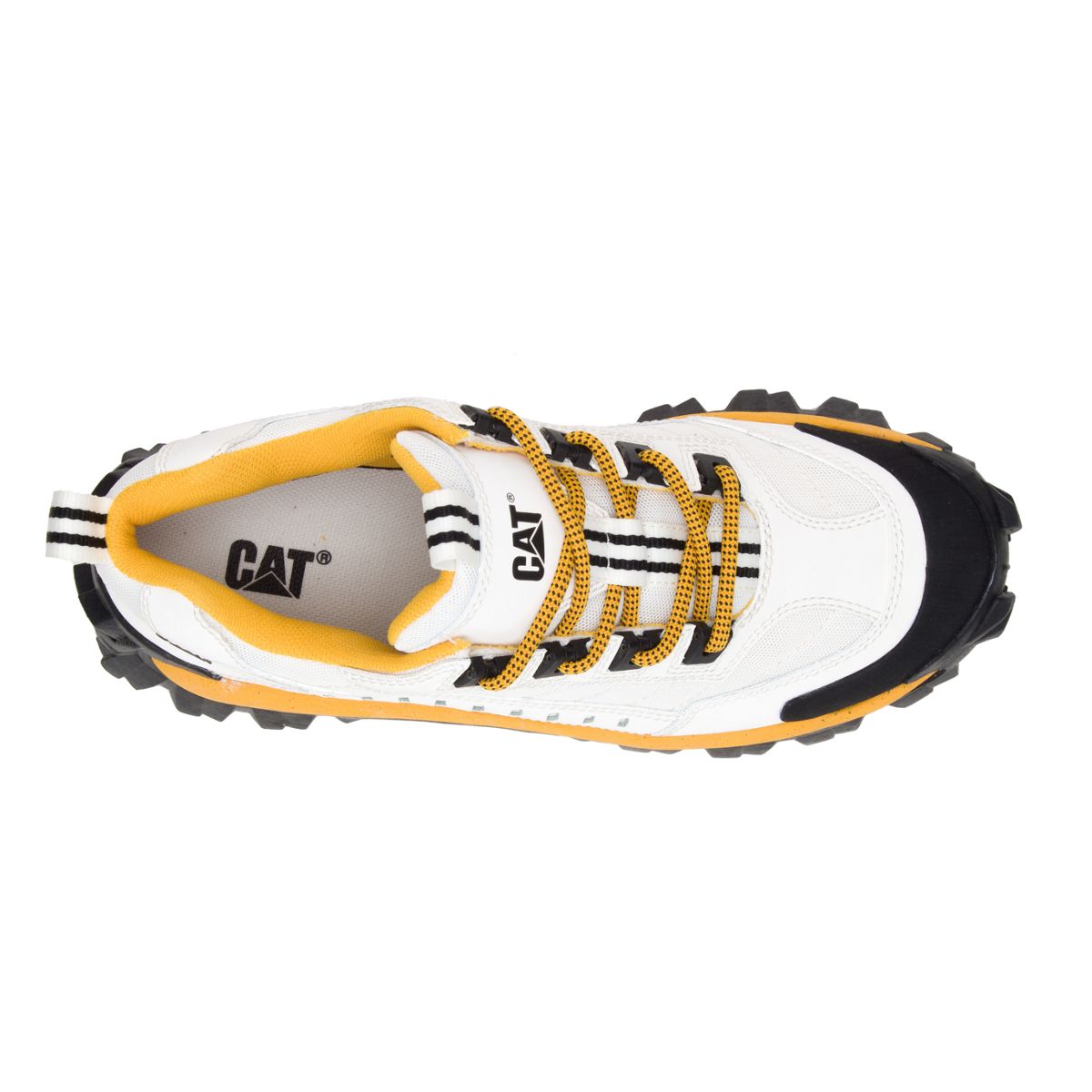 CATU-P723902-101218-F19-TOP